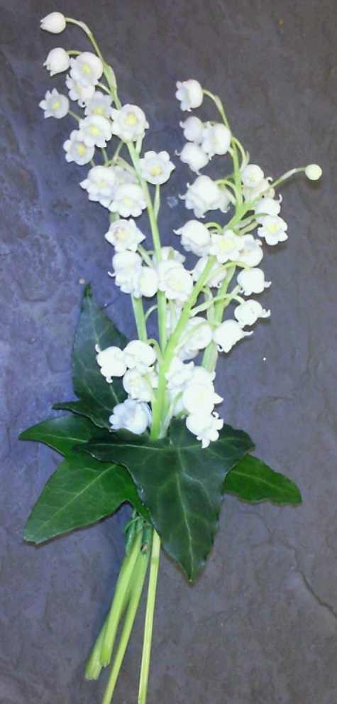 Eileen Jenkins Lilly Of The Valley Corsage