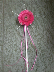 Flowergirls wand