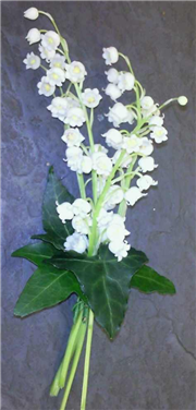 Lilly Of The Valley Corsage