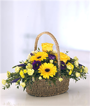 Bold Basket