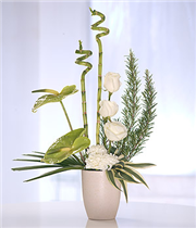 Contemporary Arrangement