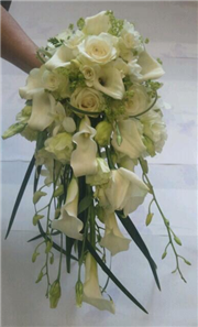 Bridal showsey