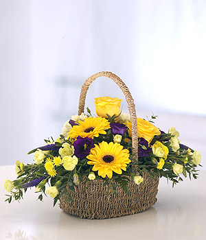 Eileen Jenkins Bold Basket
