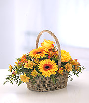 Eileen Jenkins Rich Basket