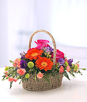 Eileen Jenkins Vibrant Basket