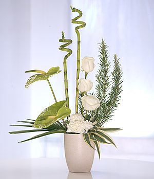 Eileen Jenkins Contemporary Arrangement