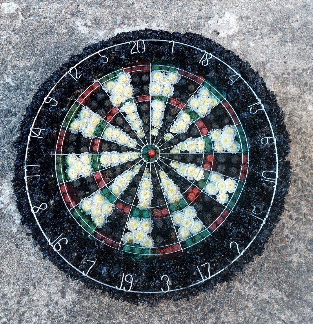 Eileen Jenkins Dart Board